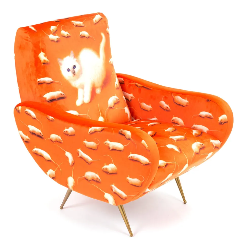 Armchair Kitten