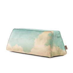 Backrest Cloud