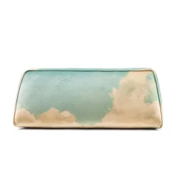 Backrest Cloud