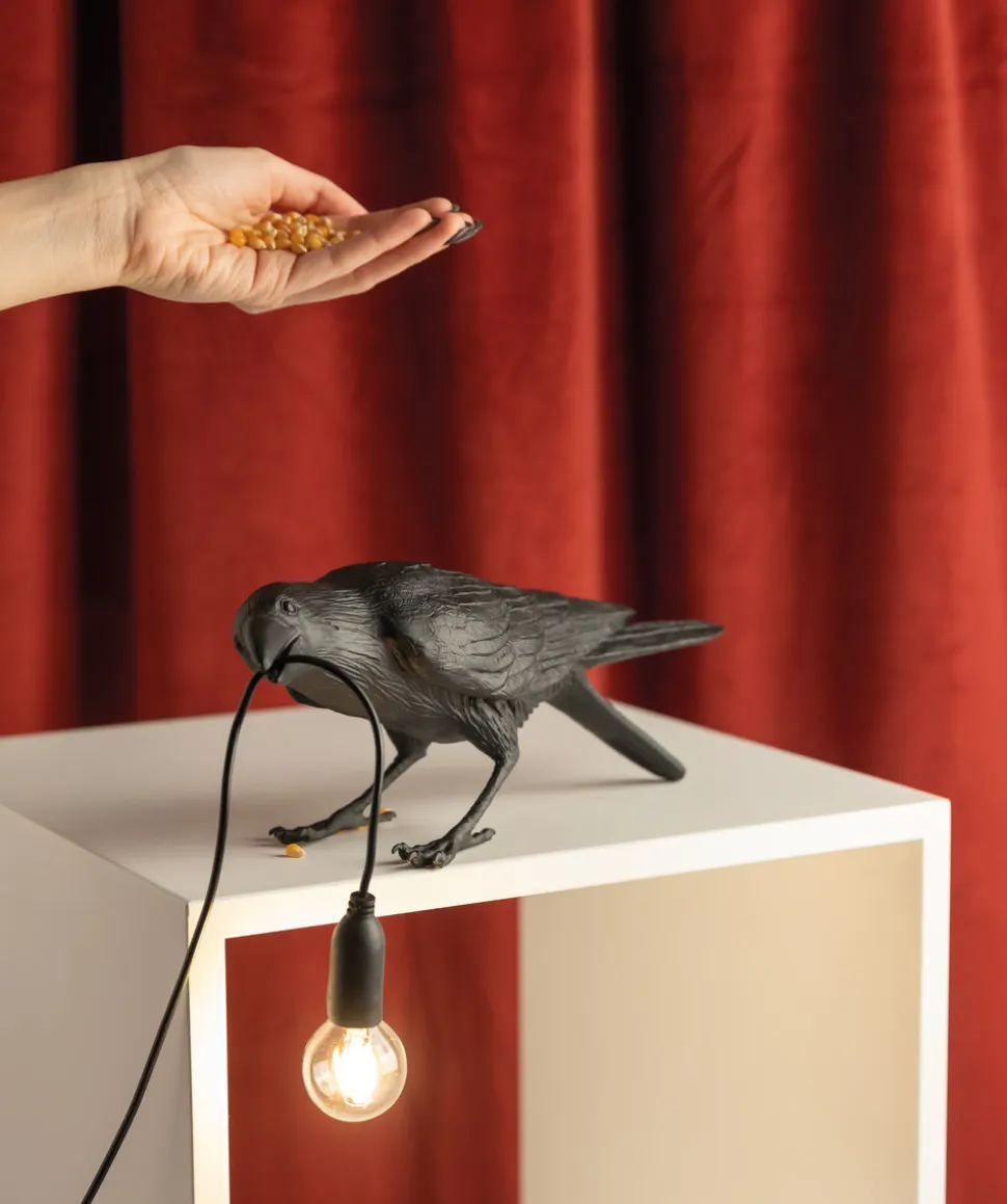 Bird Lamp Black Playing
