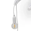 Bird Lamp Light Bulb Outdoor