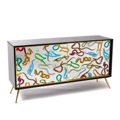 Cabinet Sliding Door Snakes