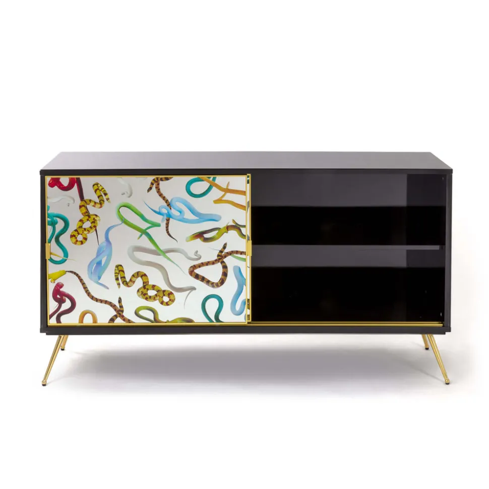 Cabinet Sliding Door Snakes