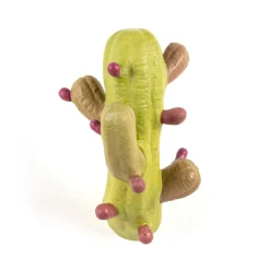 Cactus Coloured