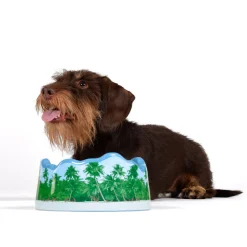 Ceramic bowl PETS (R)EVOLUTION Maldives