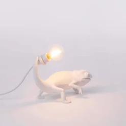Chameleon Lamp Still USB
