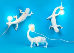 Chameleon Lamp Still USB