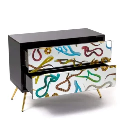 Chest of Two Drawers Snakes