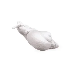 Hangers Snail Awake
