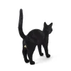 Jobby The Cat Black