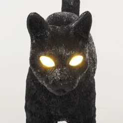 Jobby The Cat Black