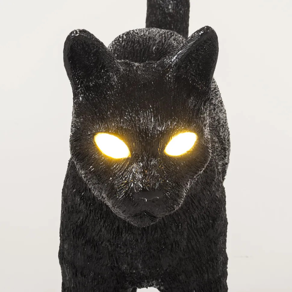 Jobby The Cat Black