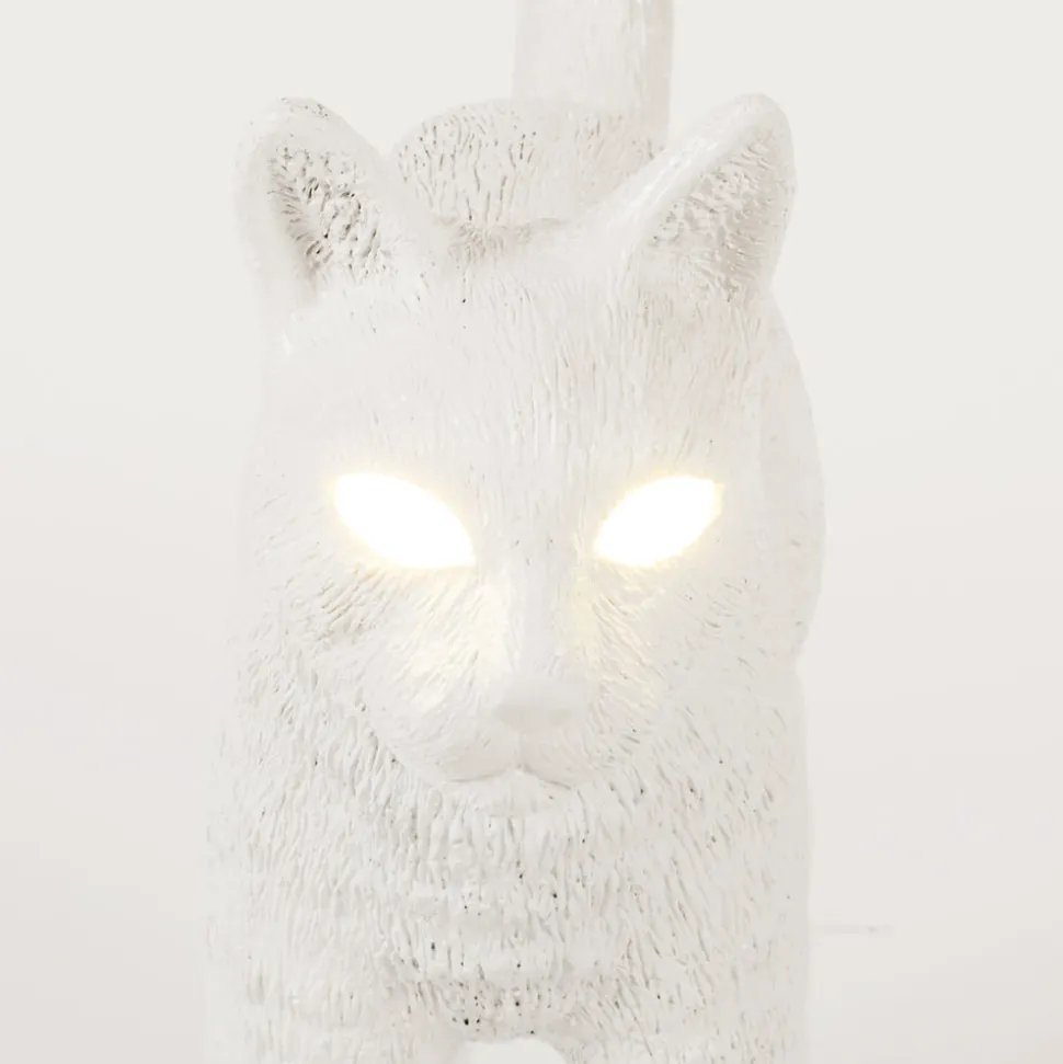 Jobby The Cat White
