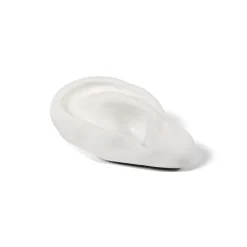 Memorabilia Mvsevm Ear
