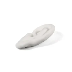 Memorabilia Mvsevm Ear