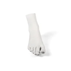 Memorabilia Mvsevm Female Foot