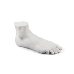 Memorabilia Mvsevm Male Foot