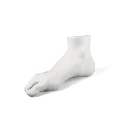 Memorabilia Mvsevm Male Foot