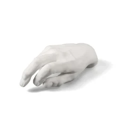 Memorabilia Mvsevm Male Hand