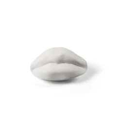 Memorabilia Mvsevm Mouth
