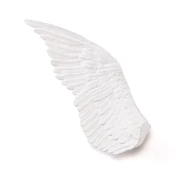Memorabilia Mvsevm Wing Right