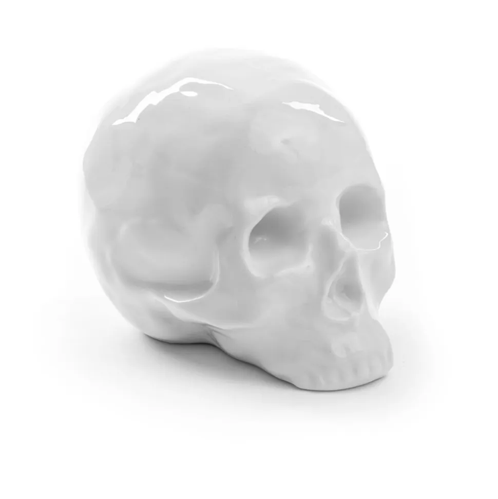 Memorabilia My Skull
