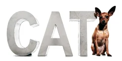 "METALVETICA" - K