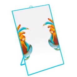Mirror Big Hands with Snakes