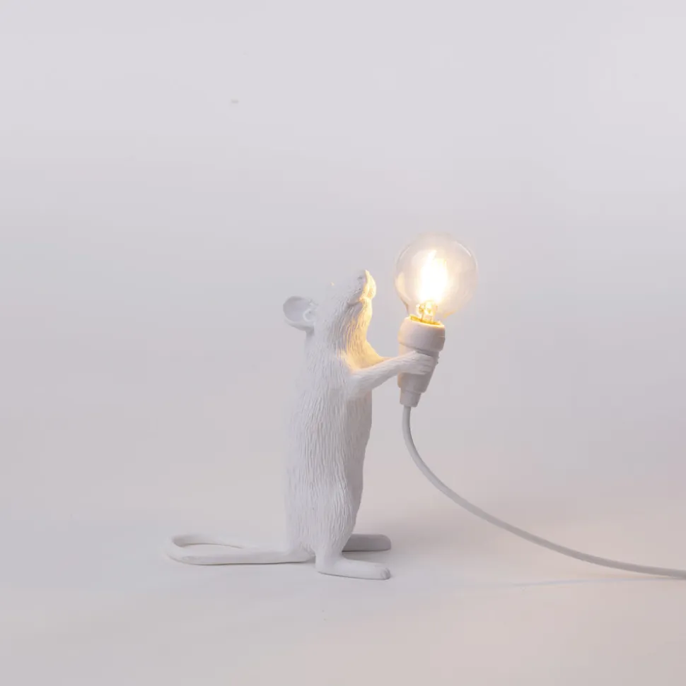 Mouse Lamp Step