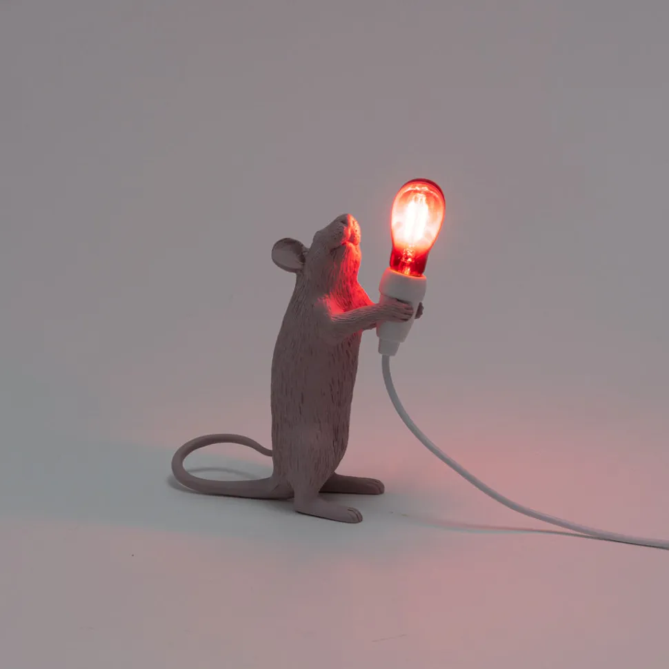 Mouse Lamp Step Love USB