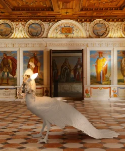 Peacock Led Lamp