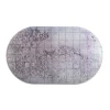 Placemat Lunar Landing