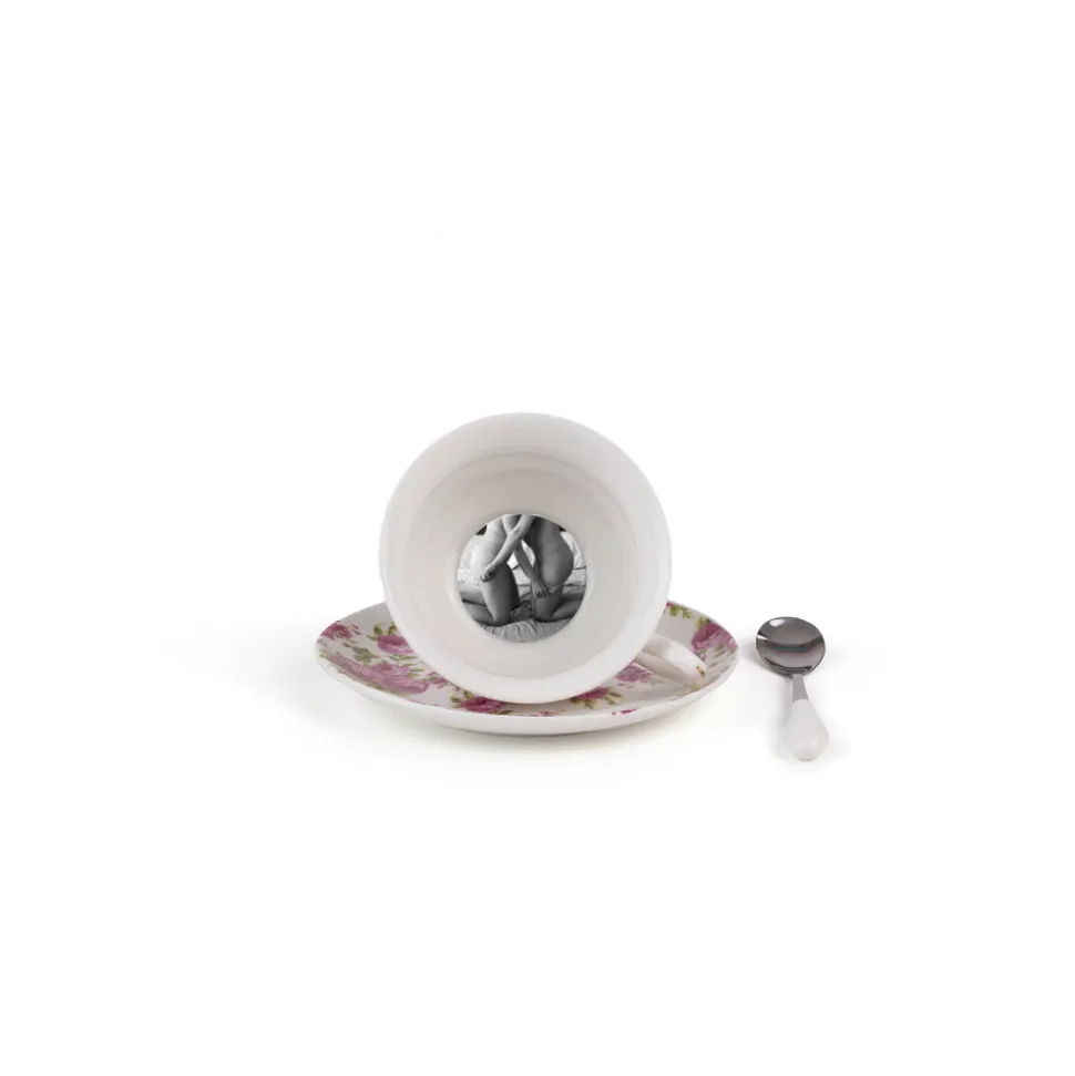 Teacup Tarin - Vesta