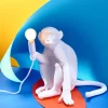 The Monkey Lamp Sitting Version
