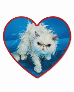 TOILETPAPER PETS BATH MAT - ANGRY CAT