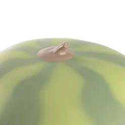 Vitamin Watermelon Table lamp