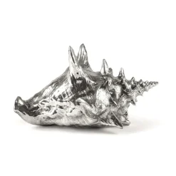 Wundekammer Shell