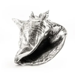Wundekammer Shell