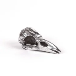 Wunderkammer Bird Skull