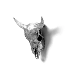 Wunderkammer Bison Skull