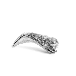 Wunderkammer Flamingo Skull