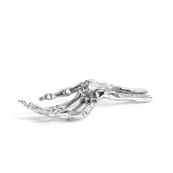 Wunderkammer Skeleton Hand