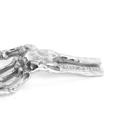 Wunderkammer Skeleton Hand