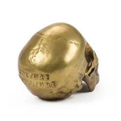 Wunderkrammer Human Skull