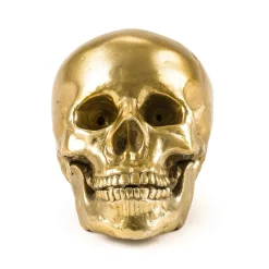 Wunderkrammer Human Skull