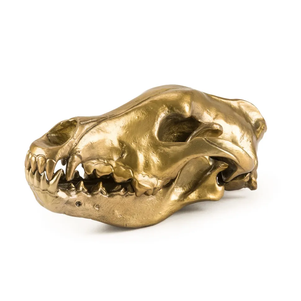 Wunderkrammer Wolf Skull